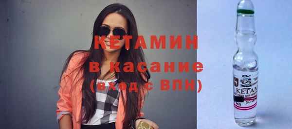 прущие грибы Переславль-Залесский