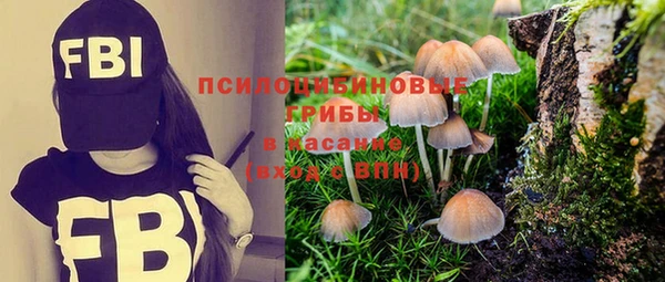прущие грибы Переславль-Залесский