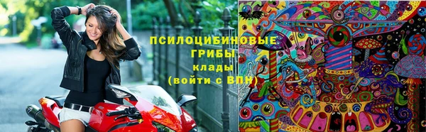 прущие грибы Переславль-Залесский