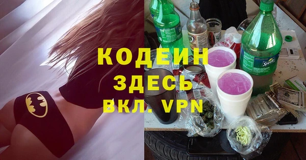 прущие грибы Переславль-Залесский