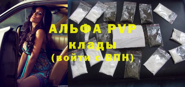 прущие грибы Переславль-Залесский