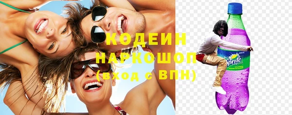 прущие грибы Переславль-Залесский