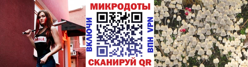 купить   Короча  Галлюциногенные грибы ЛСД 