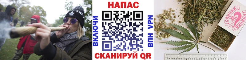 Марихуана OG Kush Короча